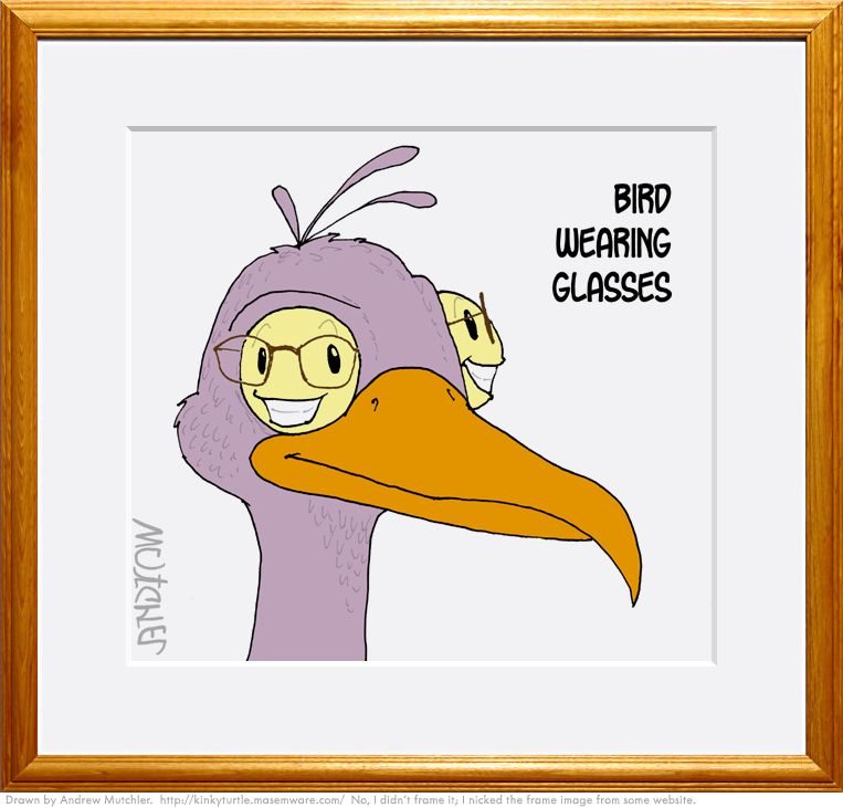 birdglasses.png