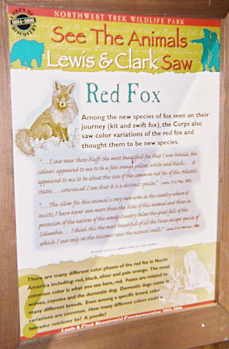 redfox-sign-cu.jpg