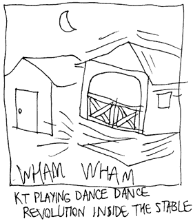 Fig. 4: Playing DDR inside a tiny house.