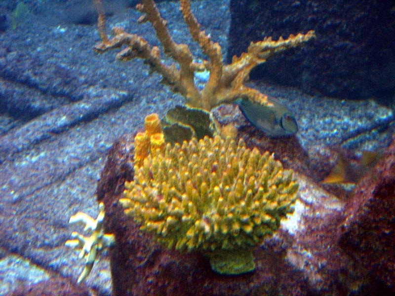 219-aquarium.jpg